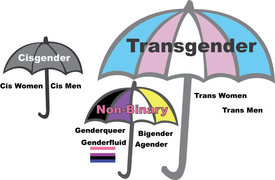 Visuelle Darstellung des sogenannten trans umbrella